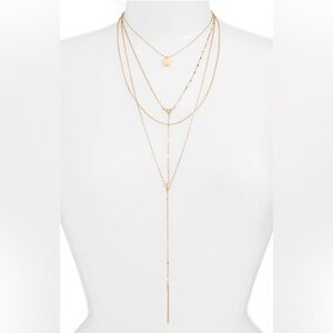 Treasure & Bond Multi Strand Y Necklace
